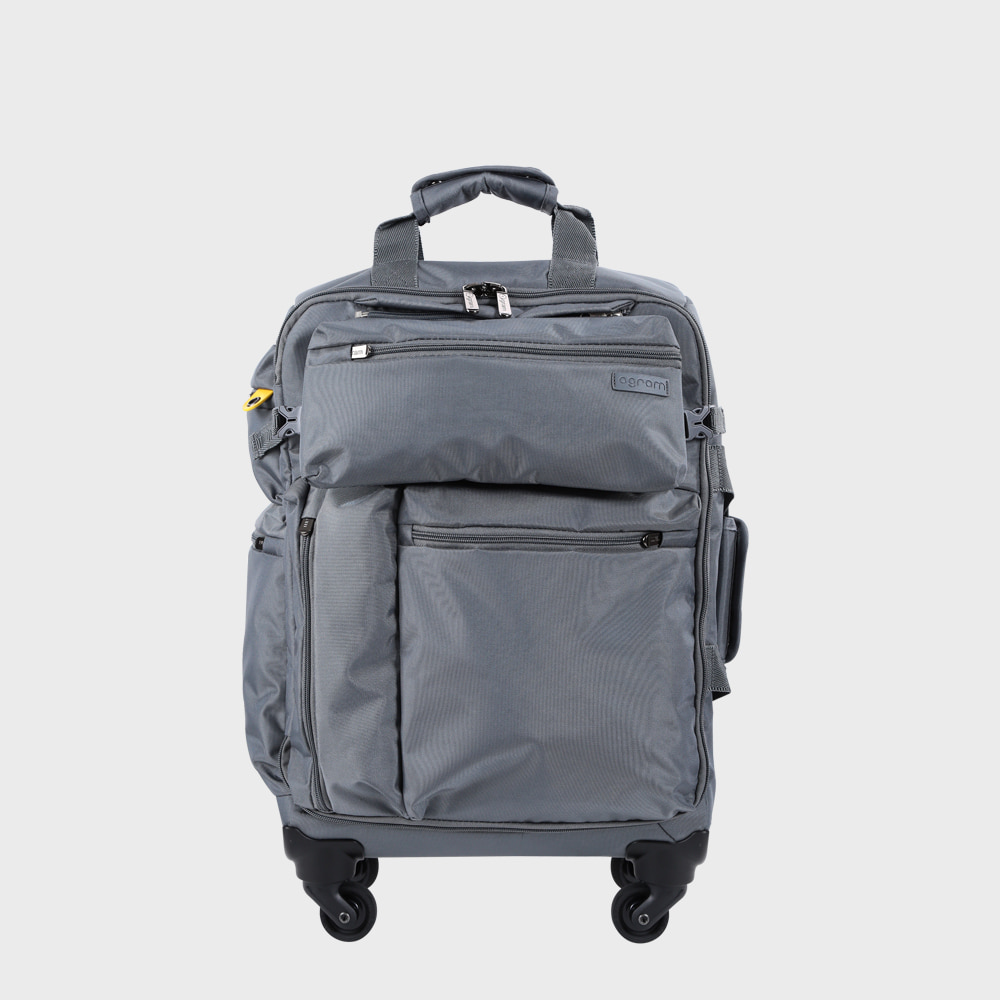 Ogram Alexis Softside Travel Luggage 20-, 24-inch in Grey