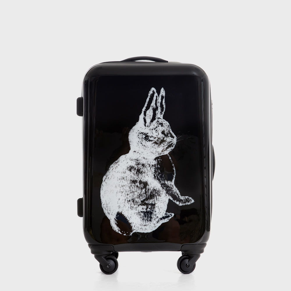 Ogram Rabbit PC Hardside Travel Luggage 20-, 24-, 28-inch