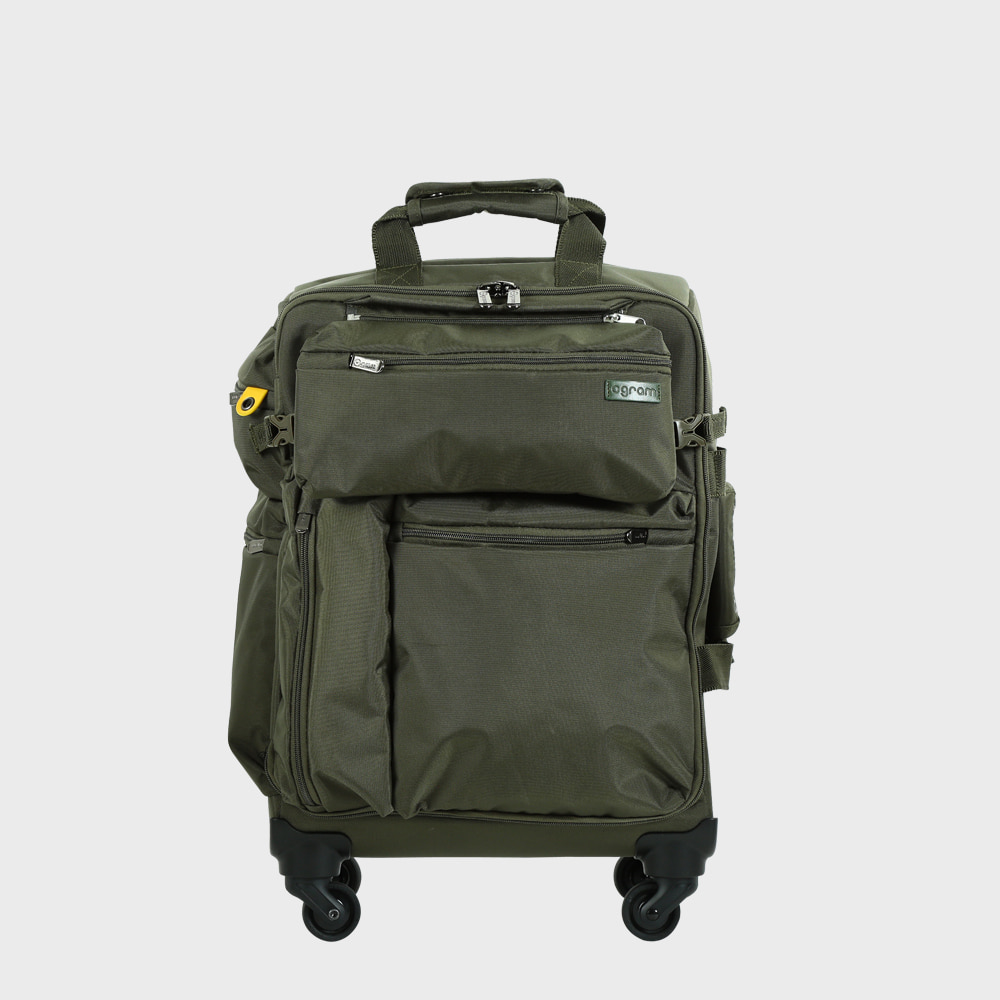 Ogram Alexis Softside Travel Luggage 20-, 24-inch in Khaki