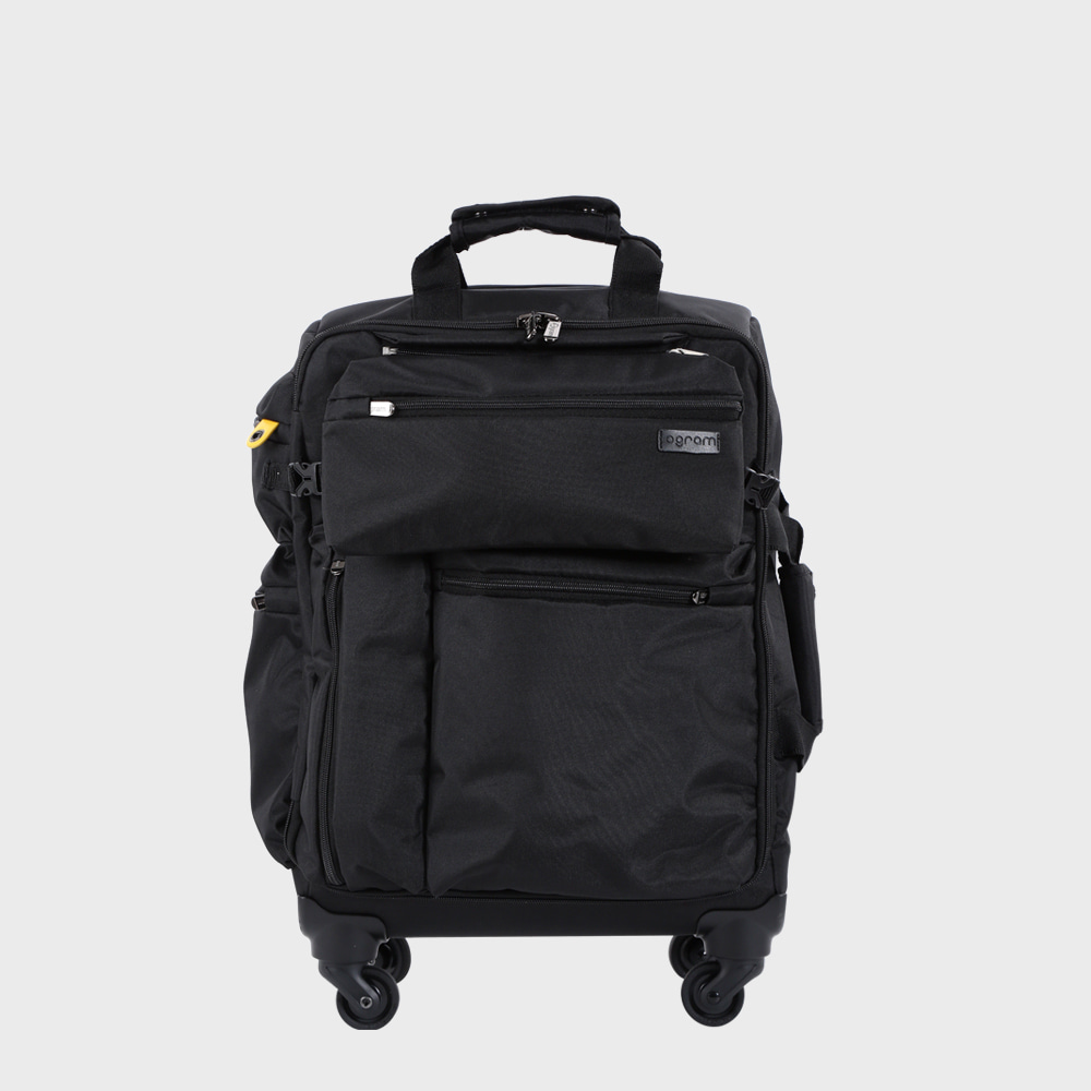 Ogram Alexis Softside Travel Luggage 20-, 24-inch in Black
